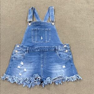 Denim Distressed Overalls